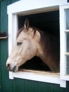 horse_barn1-225x300